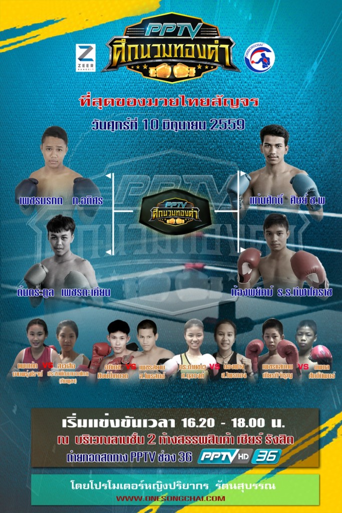handbill pptv 3 A4